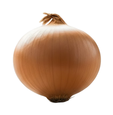 양파